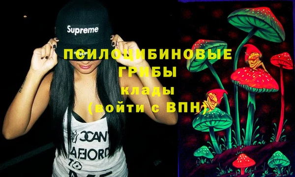 spice Алексеевка