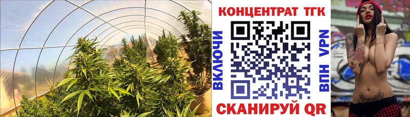 kraken ССЫЛКА  Усмань  Дистиллят ТГК THC oil 