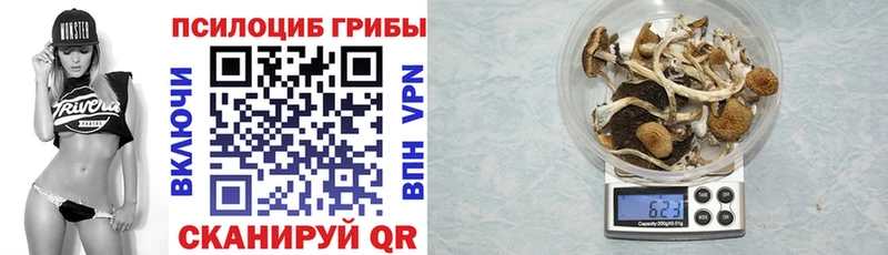 наркотики  mega ССЫЛКА  Галлюциногенные грибы MAGIC MUSHROOMS  Усмань 